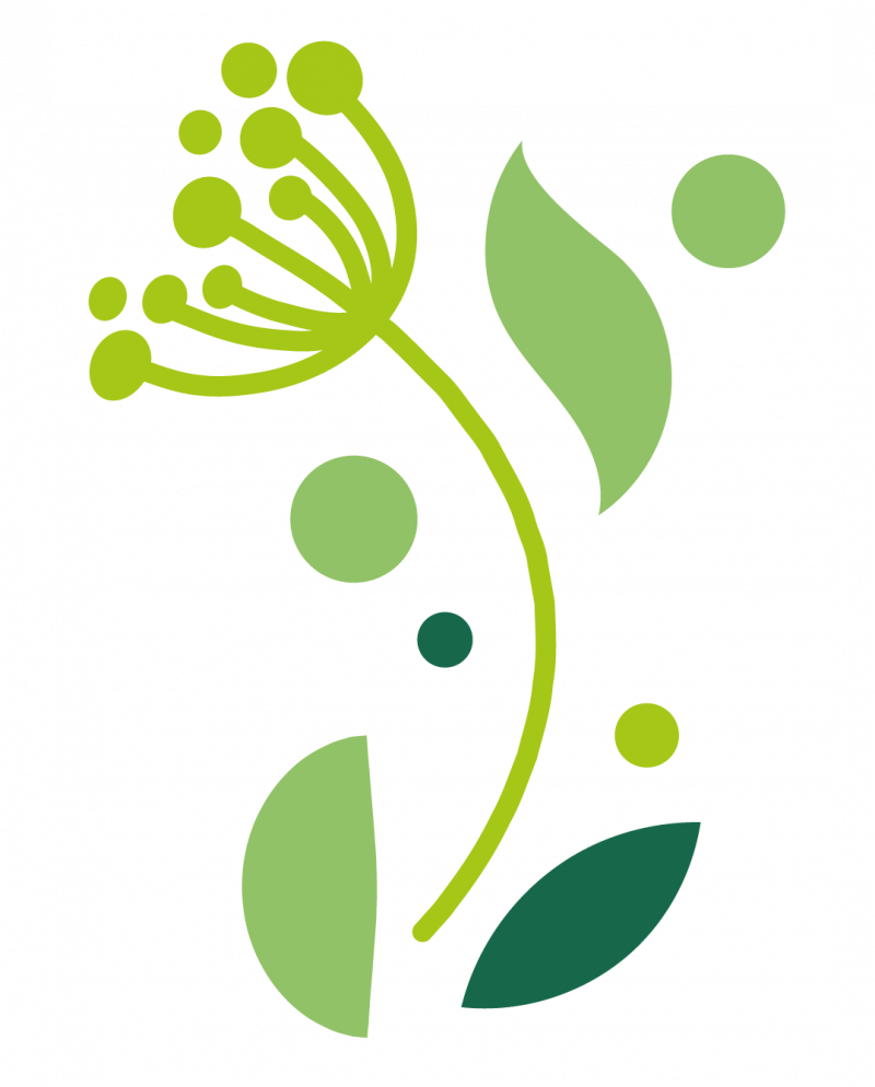 Shantea (ehemals Teas) in Lüneburg - Logoelement