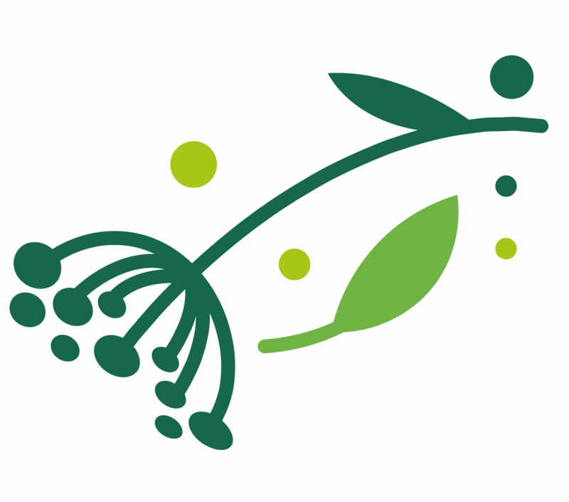 Shantea (ehemals Teas) in Lüneburg - Logoelement